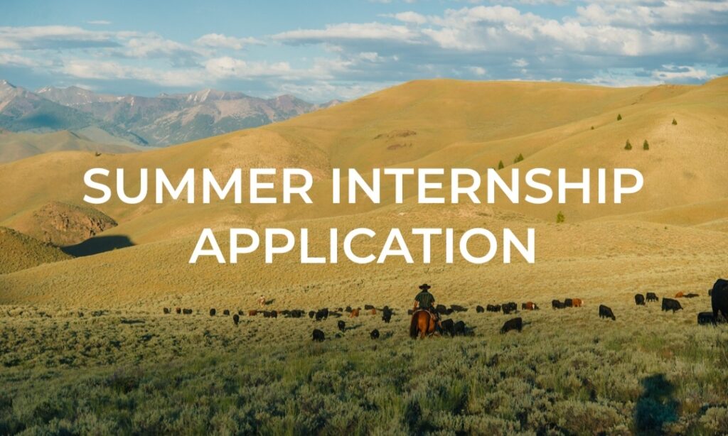 Summer internship application photo
