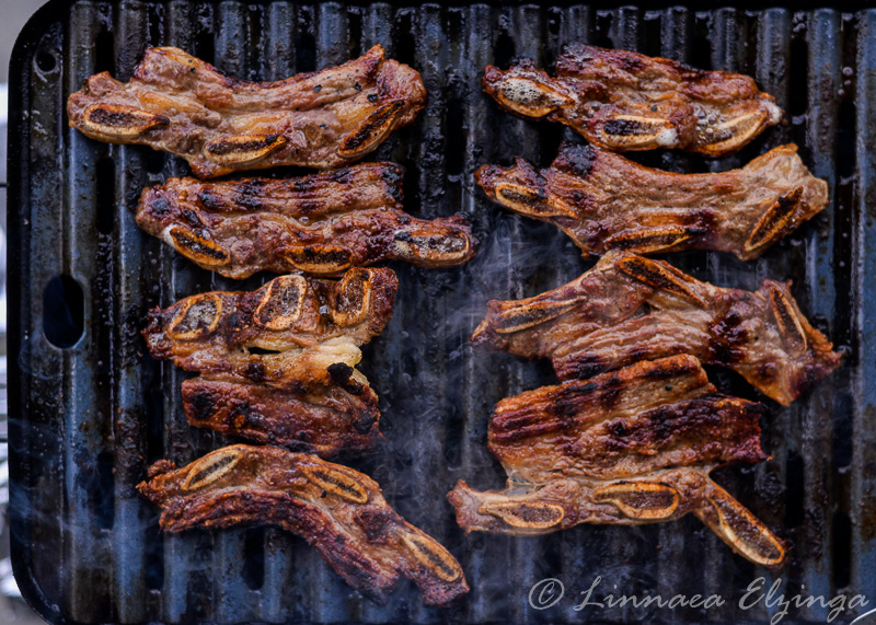 These Korean style short ribs (flanken short ribs) are paleo, AIP, GAPS, and everything free. 