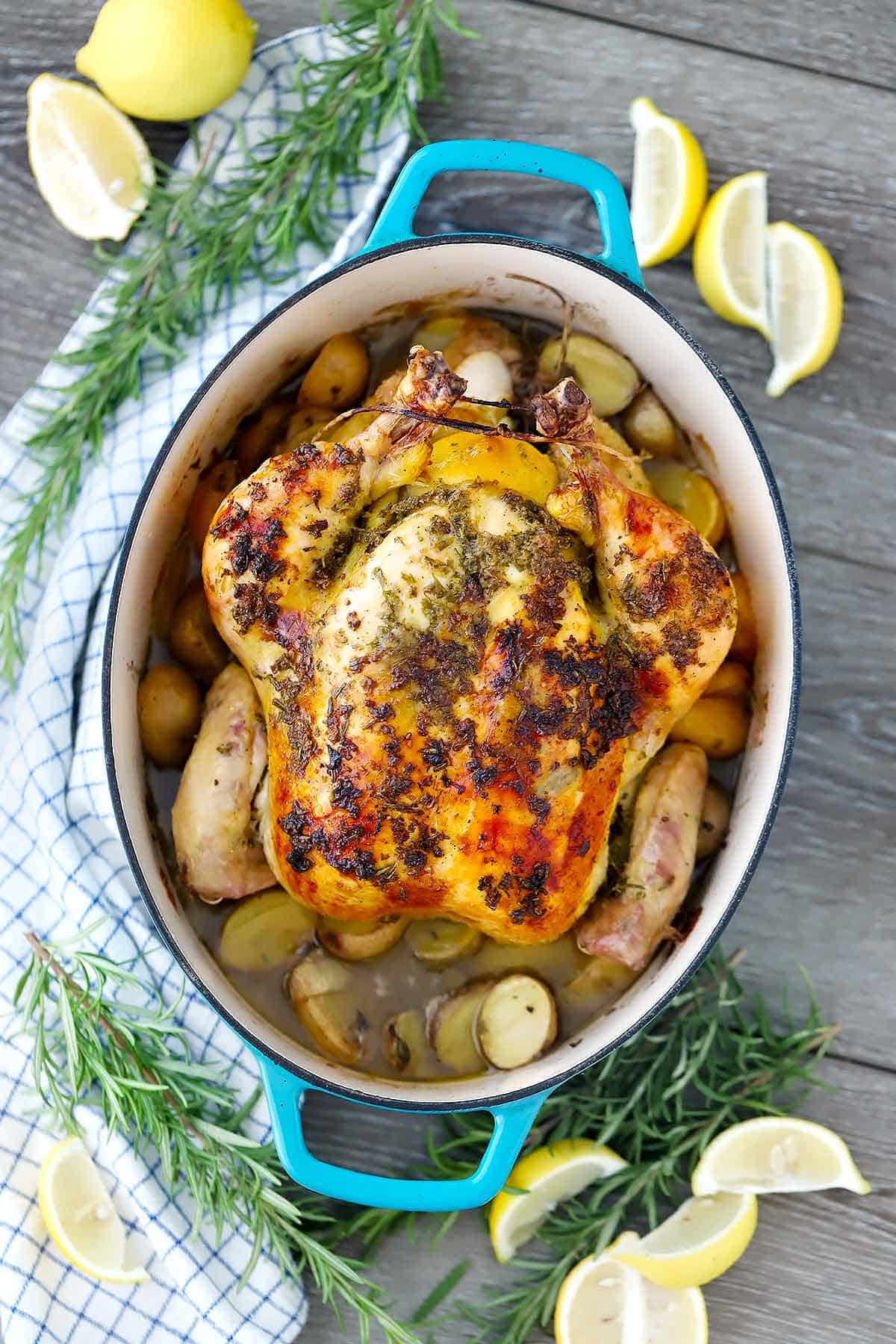 Whole roast chicken in a Dutch oven.