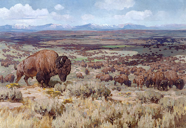 We searched the web for a painting that would capture what Ferris saw. It would appear, however, that no artist can imagine the mass of bison that Ferris described in his journal. This painting by Carl Rungius was the closest thing we could find. 