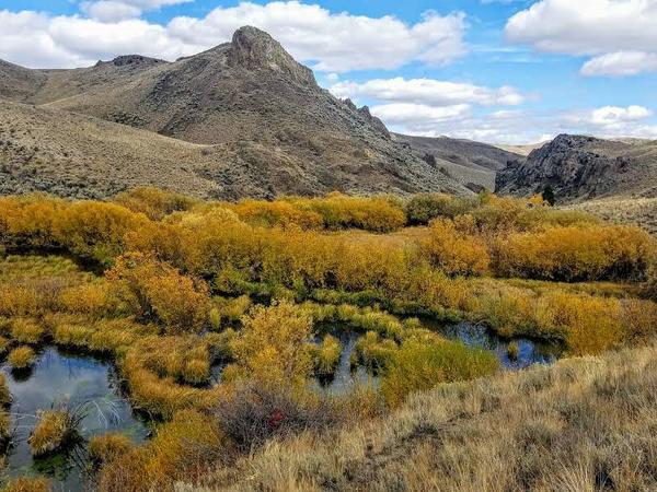 Beaver swamps alderspring ranch range