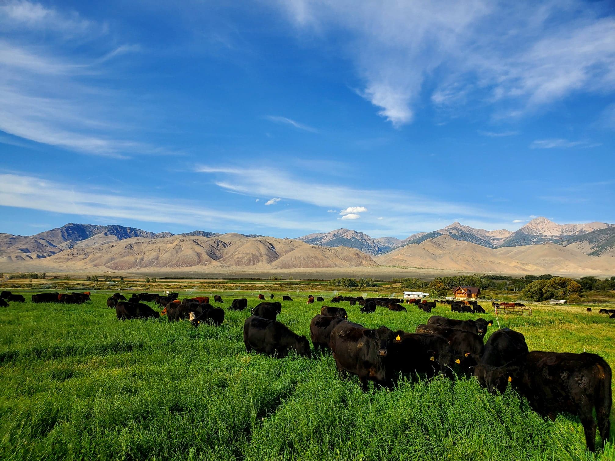 A Soil Story: Regenerative Ranching