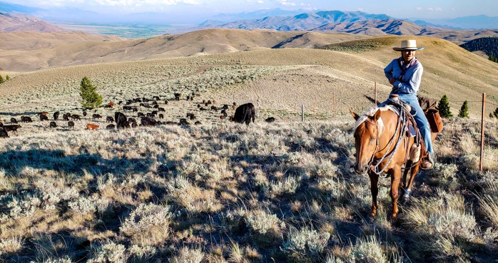 Cowgirl in High Country